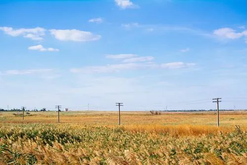 background related to Обласний рівень